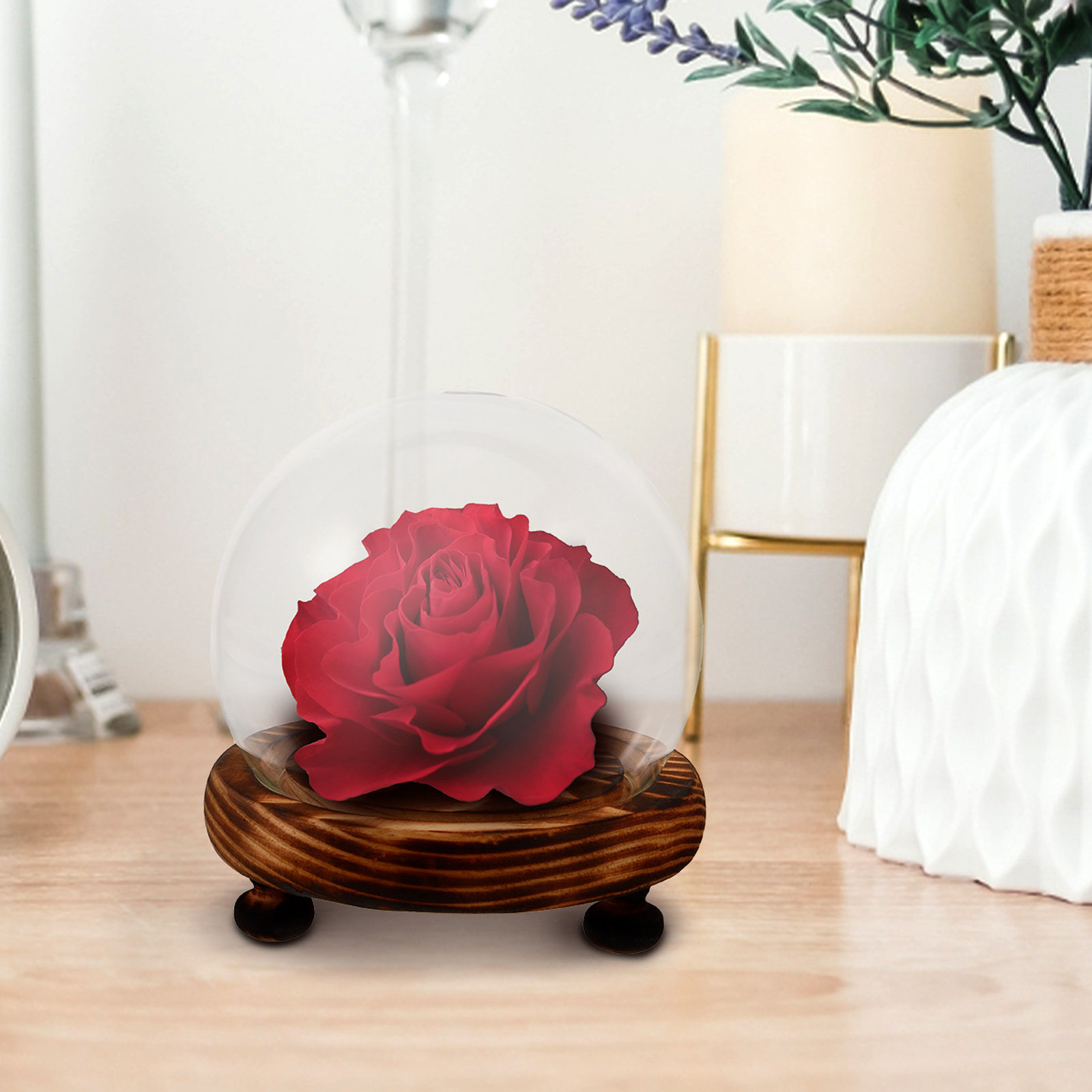 Glass Dome Display Case with W - Plastic Dome Clear 리뷰 및 가격
