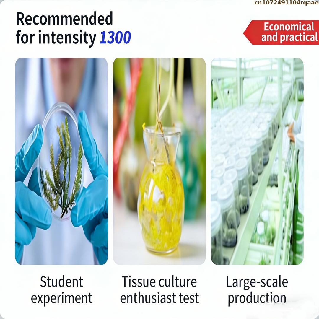 Premium Plant Tissue Culture A - Agar Tissue Culture 리뷰 및 가격