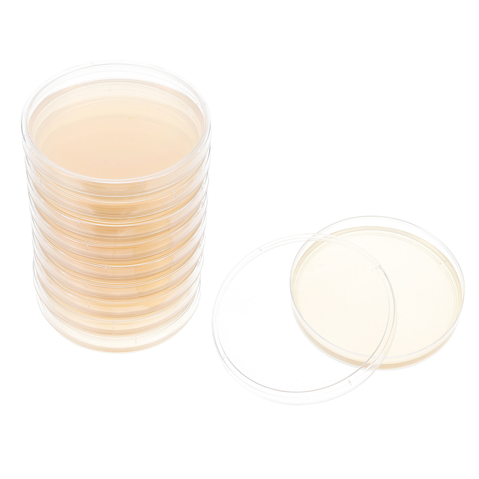 10pcs Nutrient Agar Plates Pre - Agar Tissue Culture 리뷰 및 가격