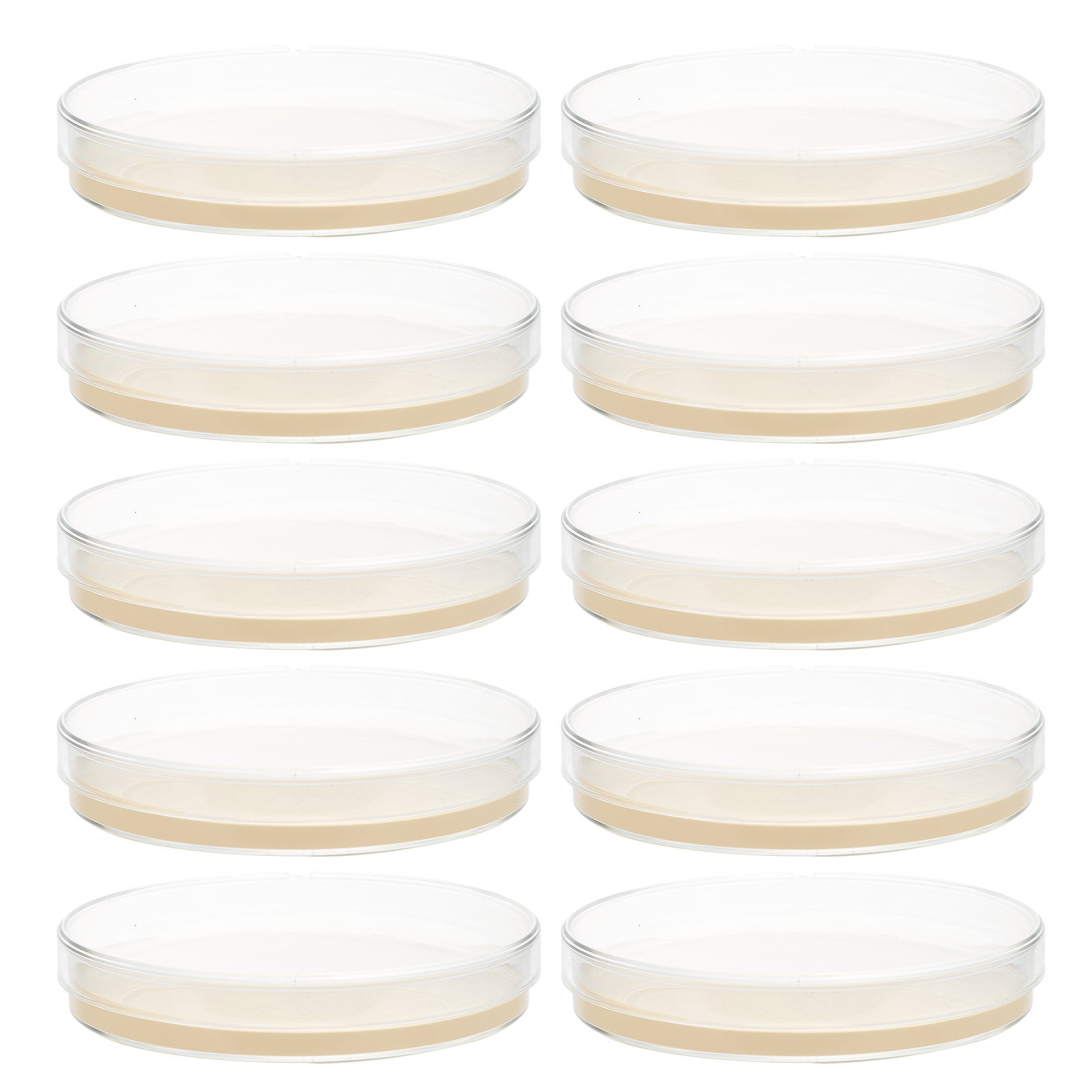 10pcs Nutrient Agar Plates Pre - Agar Tissue Culture 리뷰 및 가격