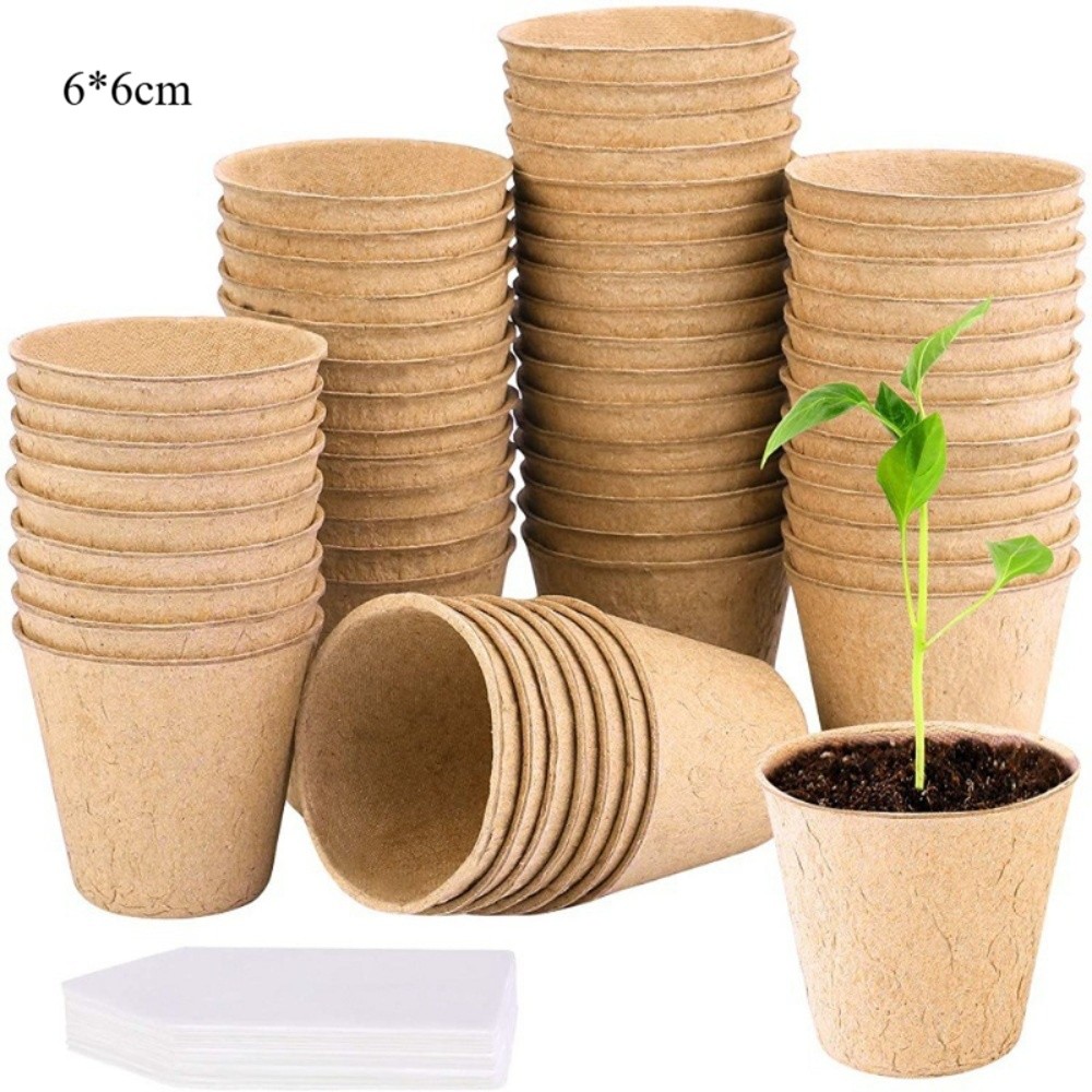 50PCS Biodegradable Plant Star - Peat Pellet Tray 리뷰 및 가격