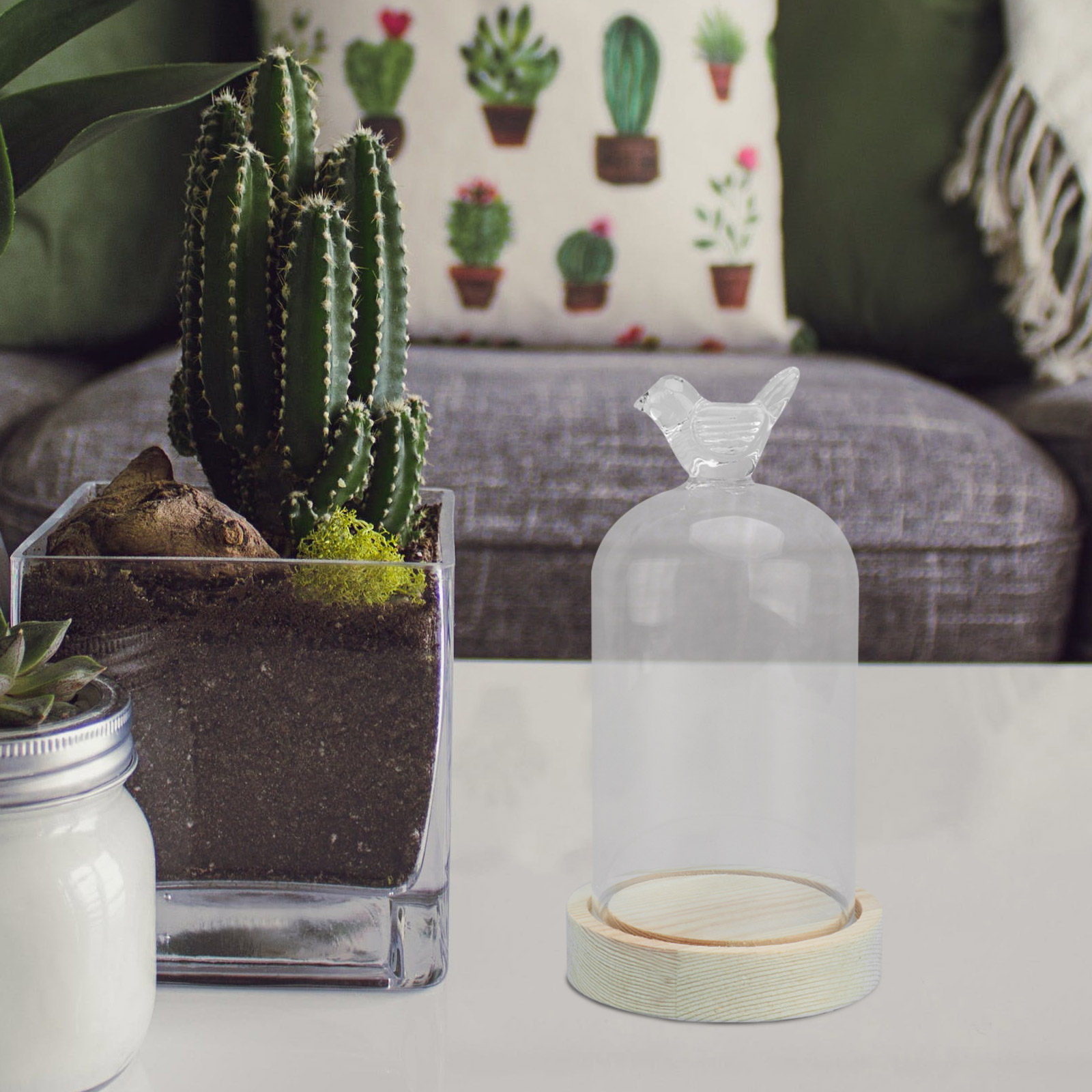 1Pcs Mini Glass Dome Cover Bir - Plastic Dome Clear 리뷰 및 가격