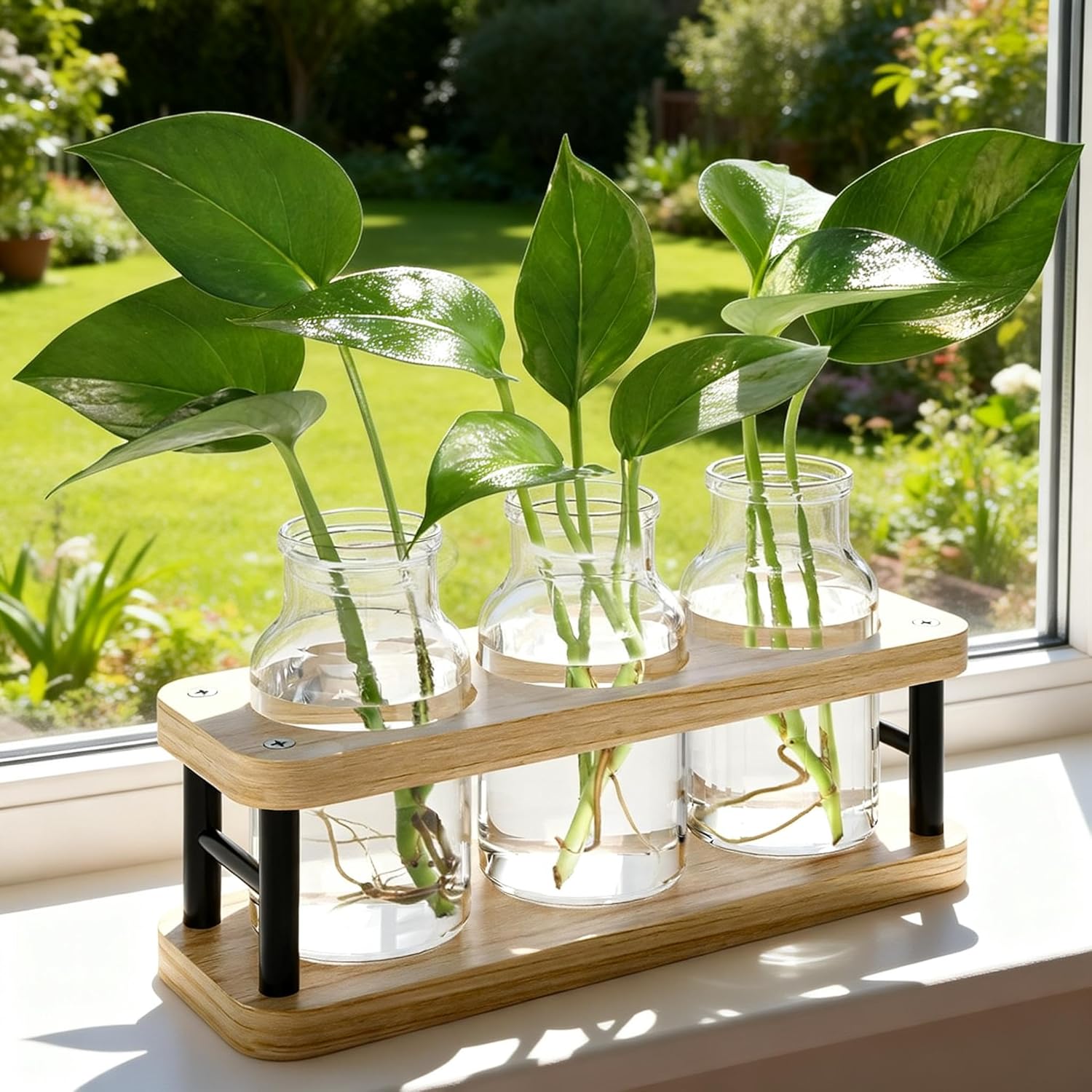 Propagation Station with Woode - Propagation Station Vase 리뷰 및 가격