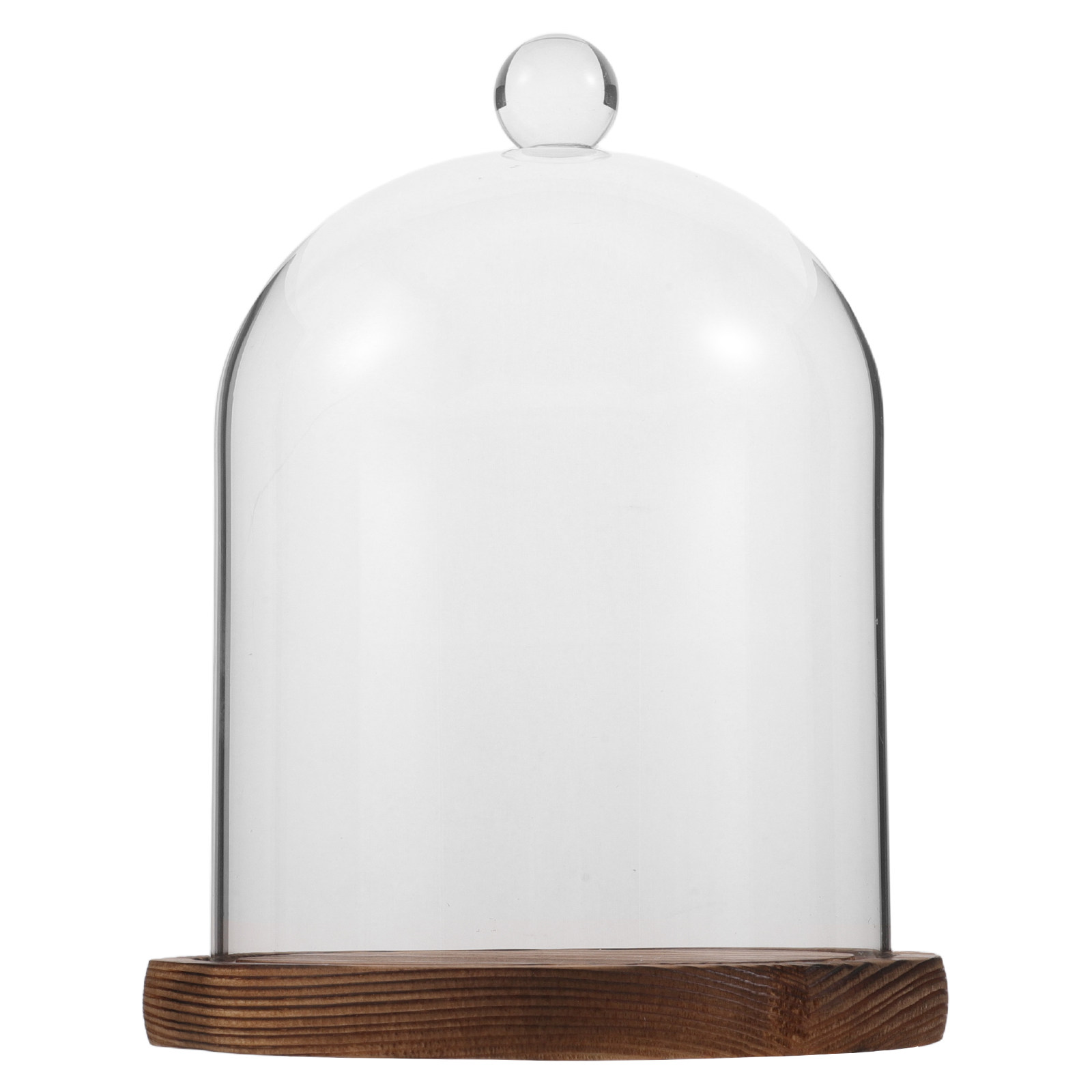 Clear Glass Bell Jar Dome for  - Plastic Dome Clear 리뷰 및 가격