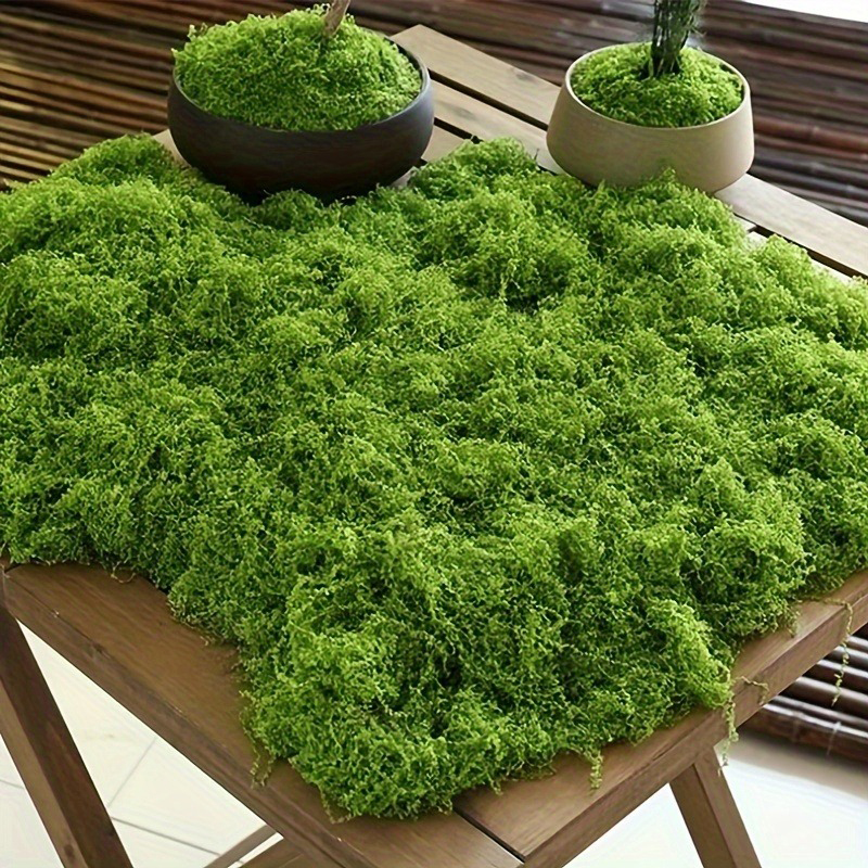 Green Fake Moss DIY Crafts Gra - Sphagnum Moss Dry 리뷰 및 가격