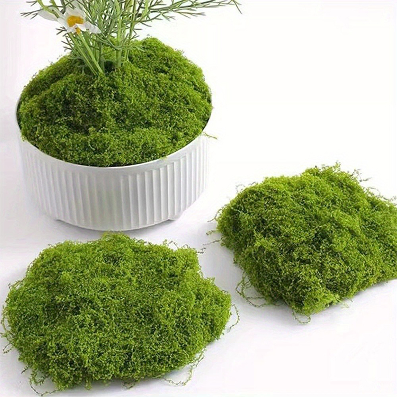 Green Fake Moss DIY Crafts Gra - Sphagnum Moss Dry 리뷰 및 가격