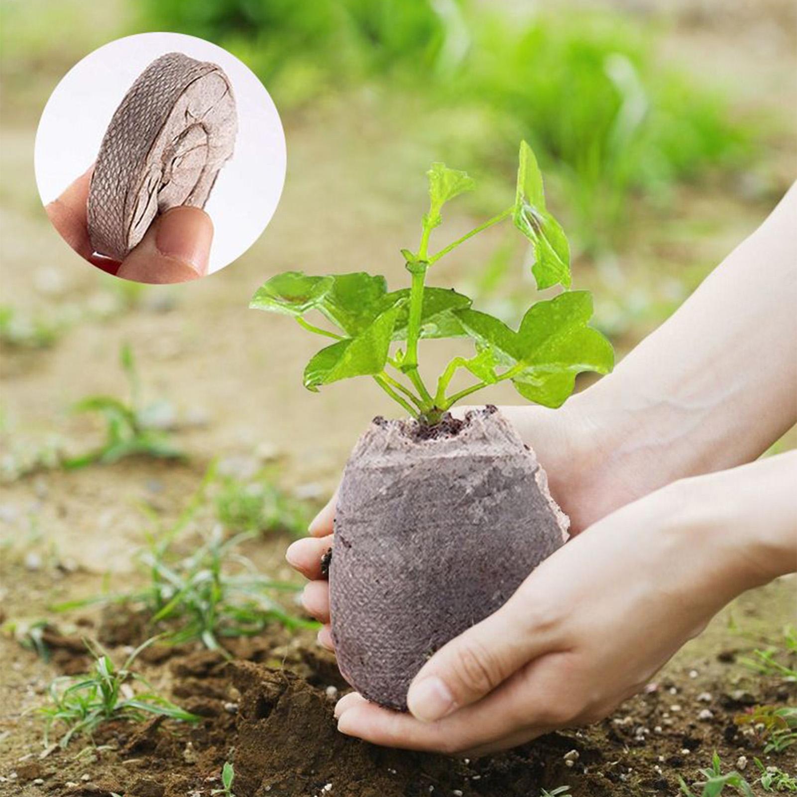 100 Piece Potting Mix Trays 30 - Peat Pellet Tray 리뷰 및 가격