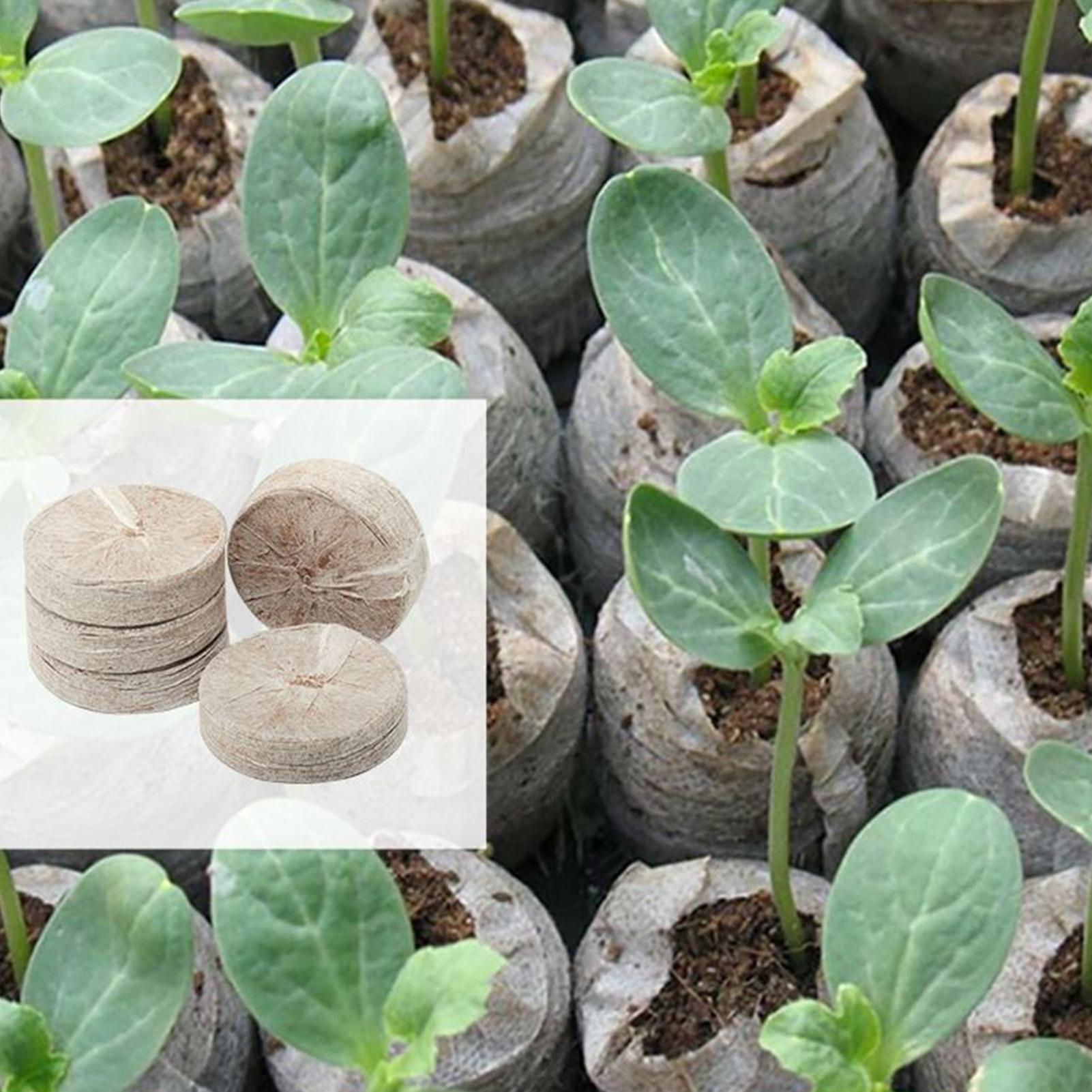 100 Piece Potting Mix Trays 30 - Peat Pellet Tray 리뷰 및 가격