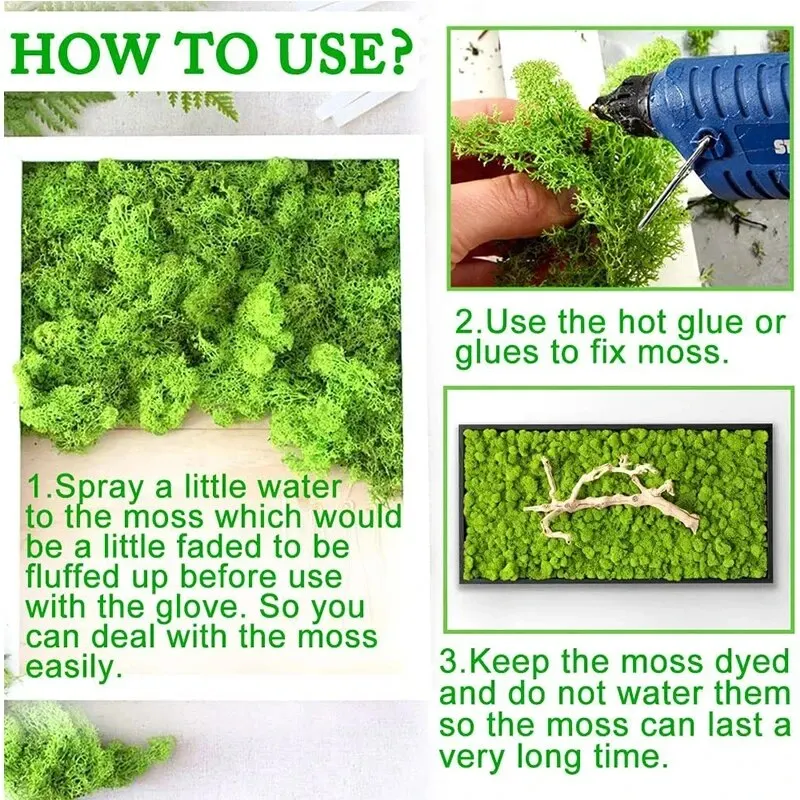 Artificial Green Plants Eterna - Sphagnum Moss Dry 리뷰 및 가격
