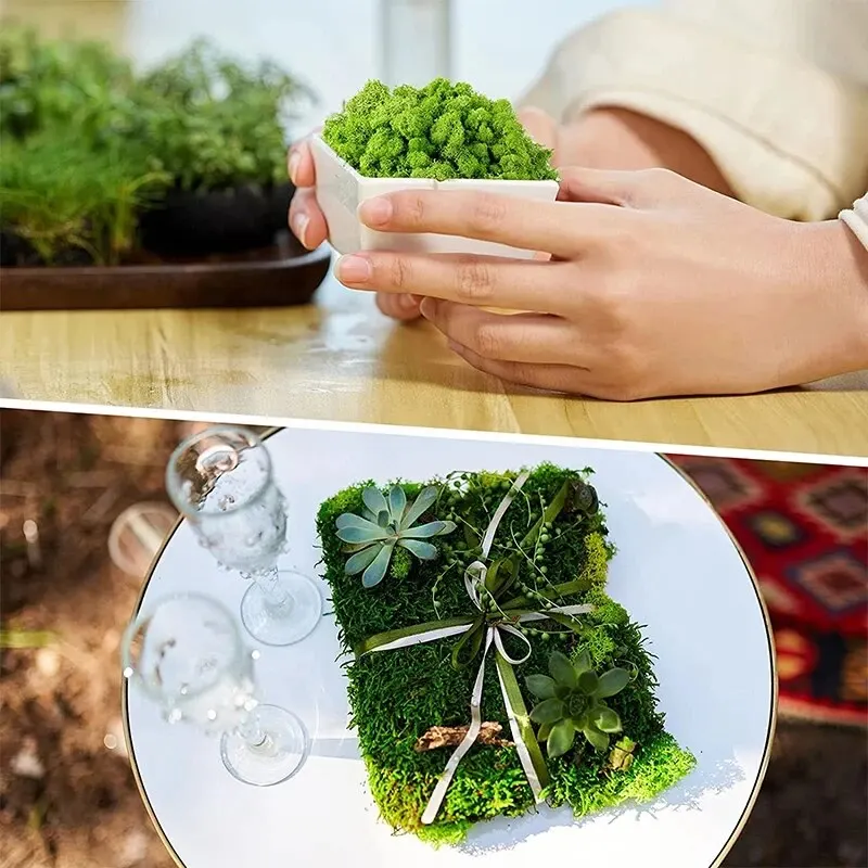 Artificial Green Plants Eterna - Sphagnum Moss Dry 리뷰 및 가격