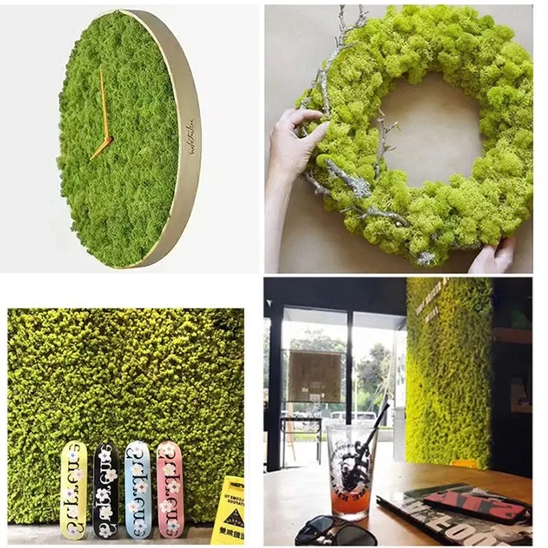 Artificial Green Plants Eterna - Sphagnum Moss Dry 리뷰 및 가격
