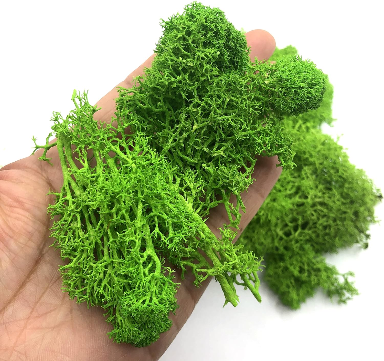 200g Artificial Green Plants M - Sphagnum Moss Dry 리뷰 및 가격