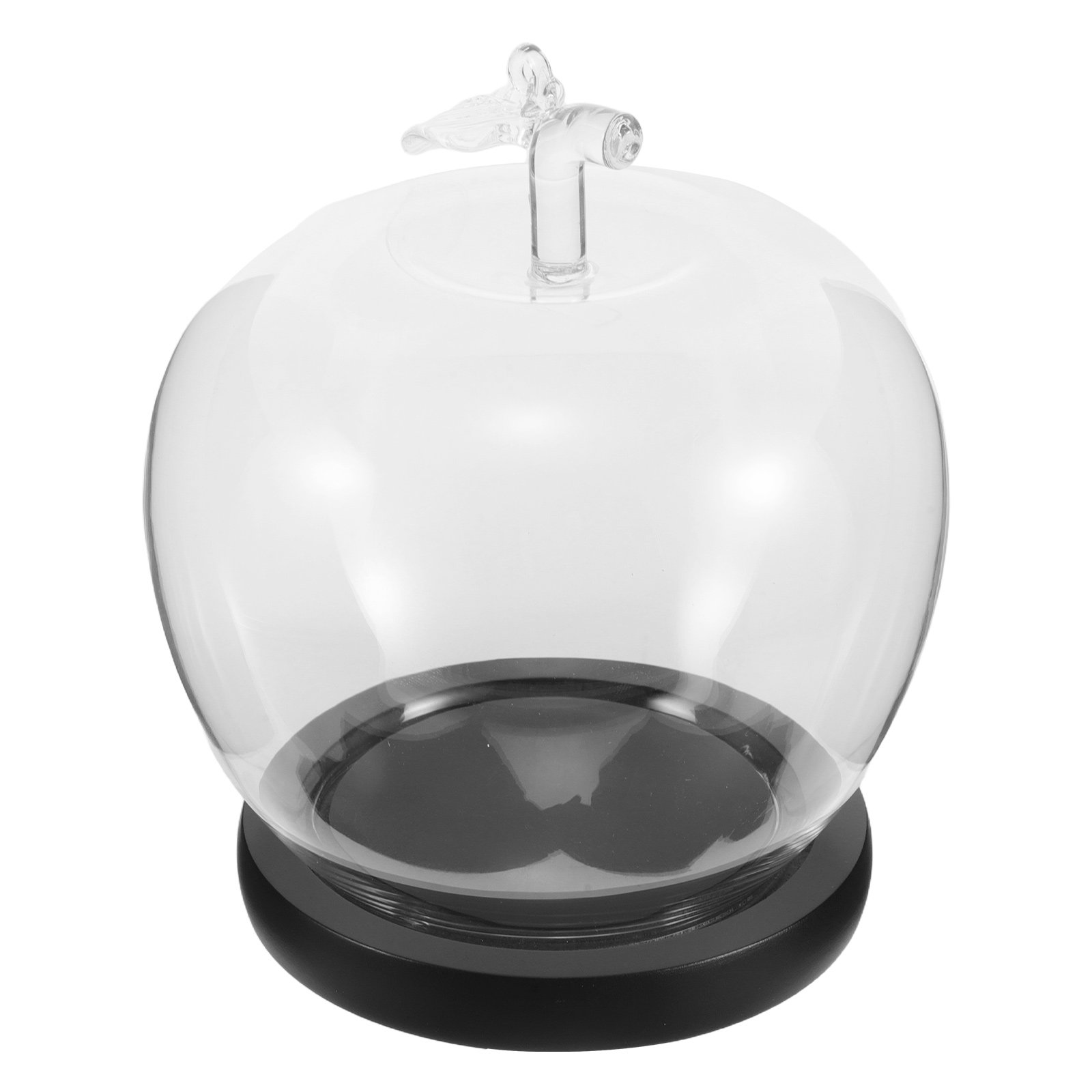 Inspired Glass Dome Cloche wit - Plastic Dome Clear 리뷰 및 가격