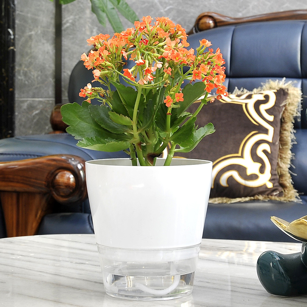 Lazy Flower with Drainage Hole - Self Watering Insert 리뷰 및 가격