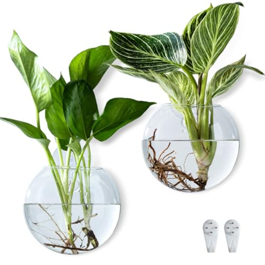 Wall Hanging Planter Propagati - Propagation Station Vase 리뷰 및 가격