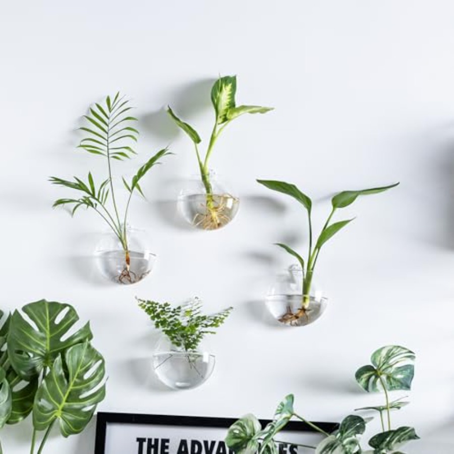 Wall Hanging Planter Propagati - Propagation Station Vase 리뷰 및 가격