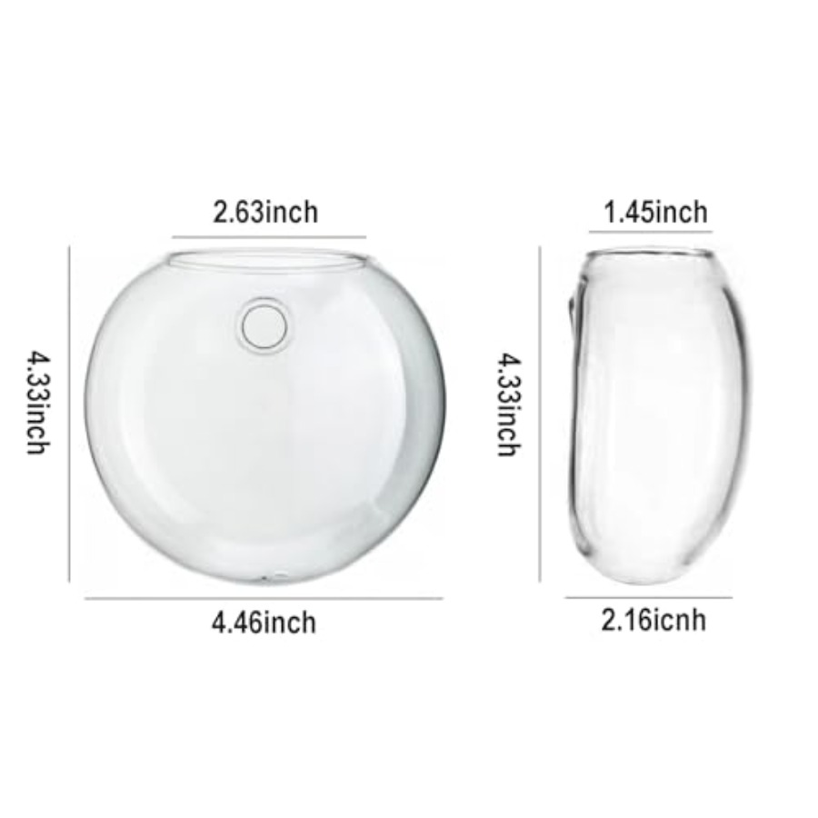 Wall Hanging Planter Propagati - Propagation Station Vase 리뷰 및 가격