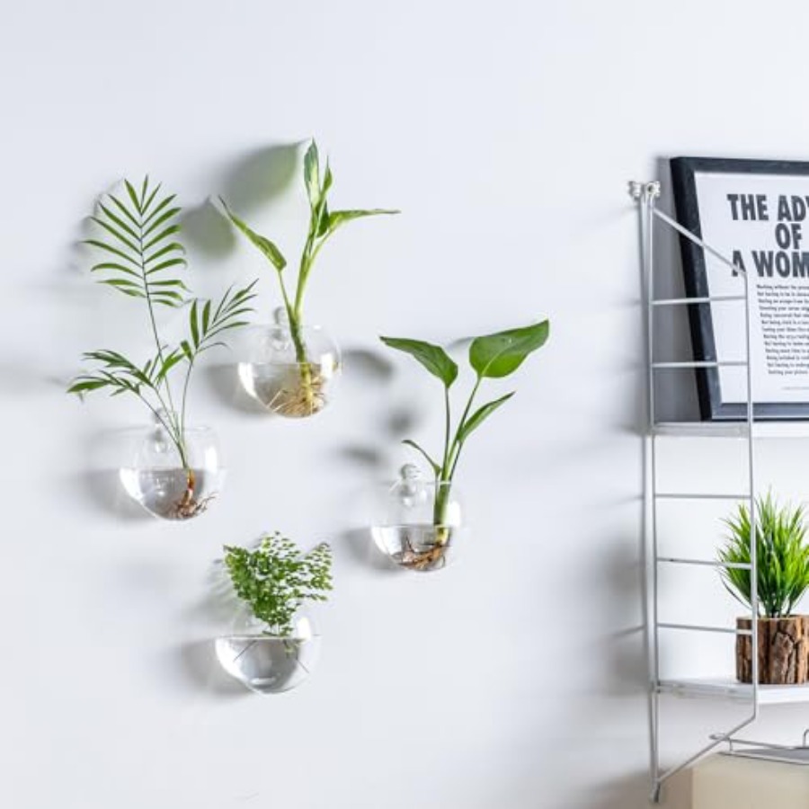 Wall Hanging Planter Propagati - Propagation Station Vase 리뷰 및 가격