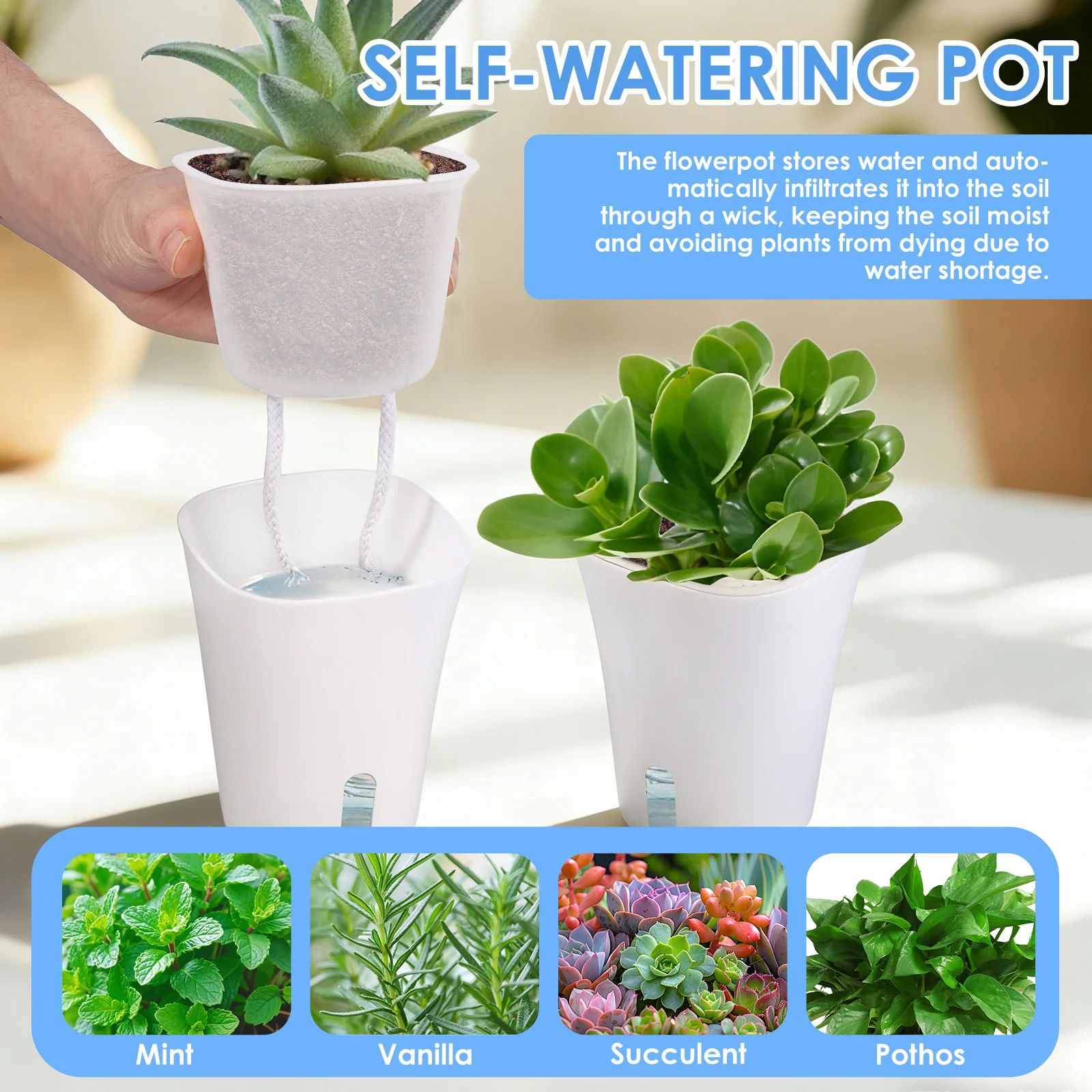 10 Pcs Self Watering Planter L - Self Watering Insert 리뷰 및 가격
