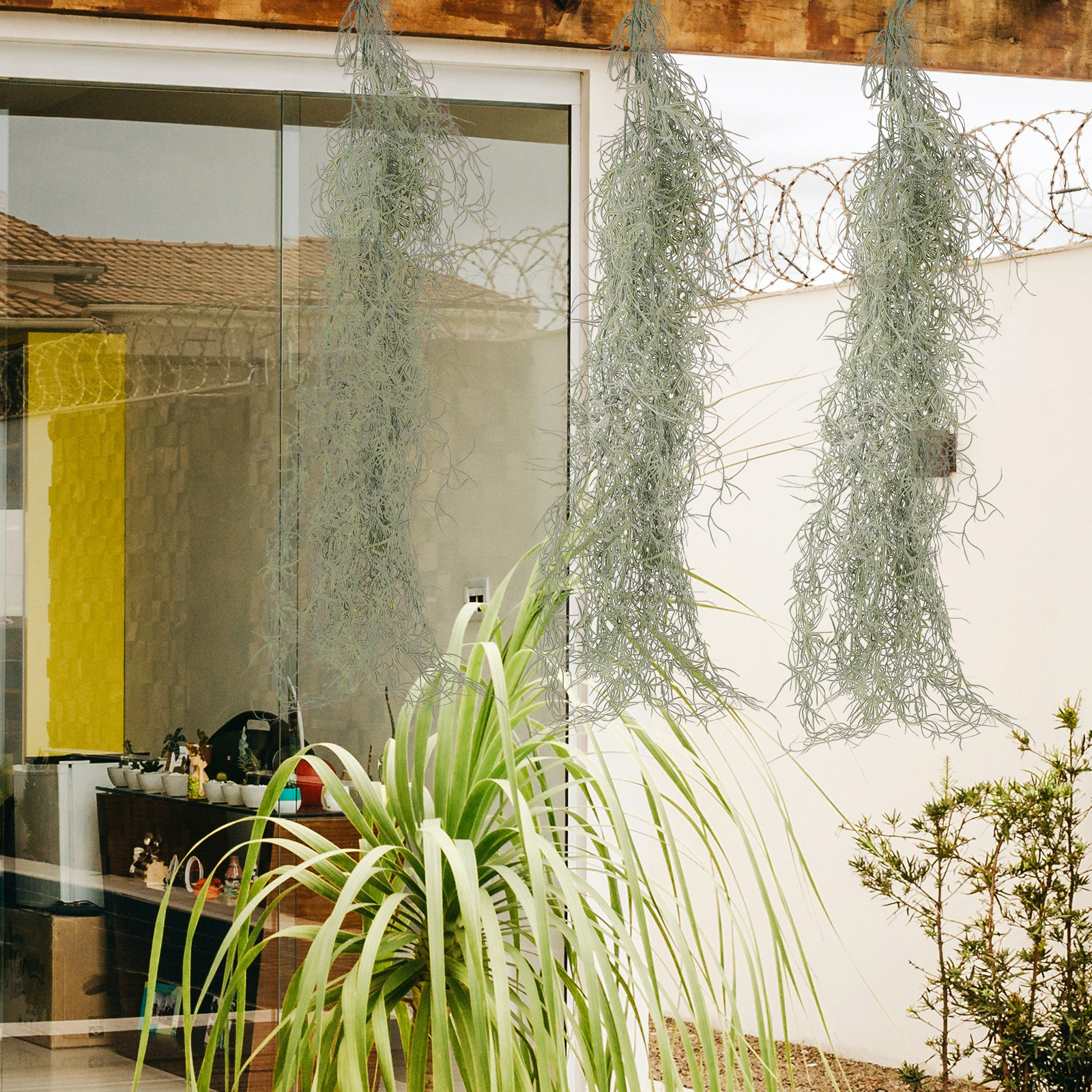 Hanging Moss Decor Artificial  - Sphagnum Moss Dry 리뷰 및 가격