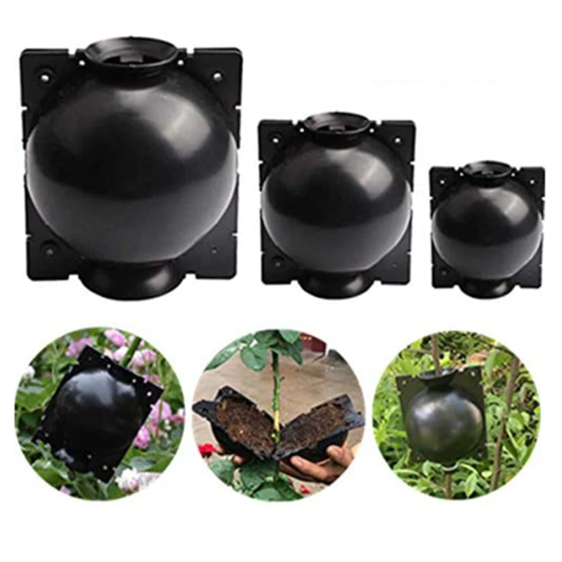 Garden Orchard Plants Grafting - Rooting Gel Clone 리뷰 및 가격