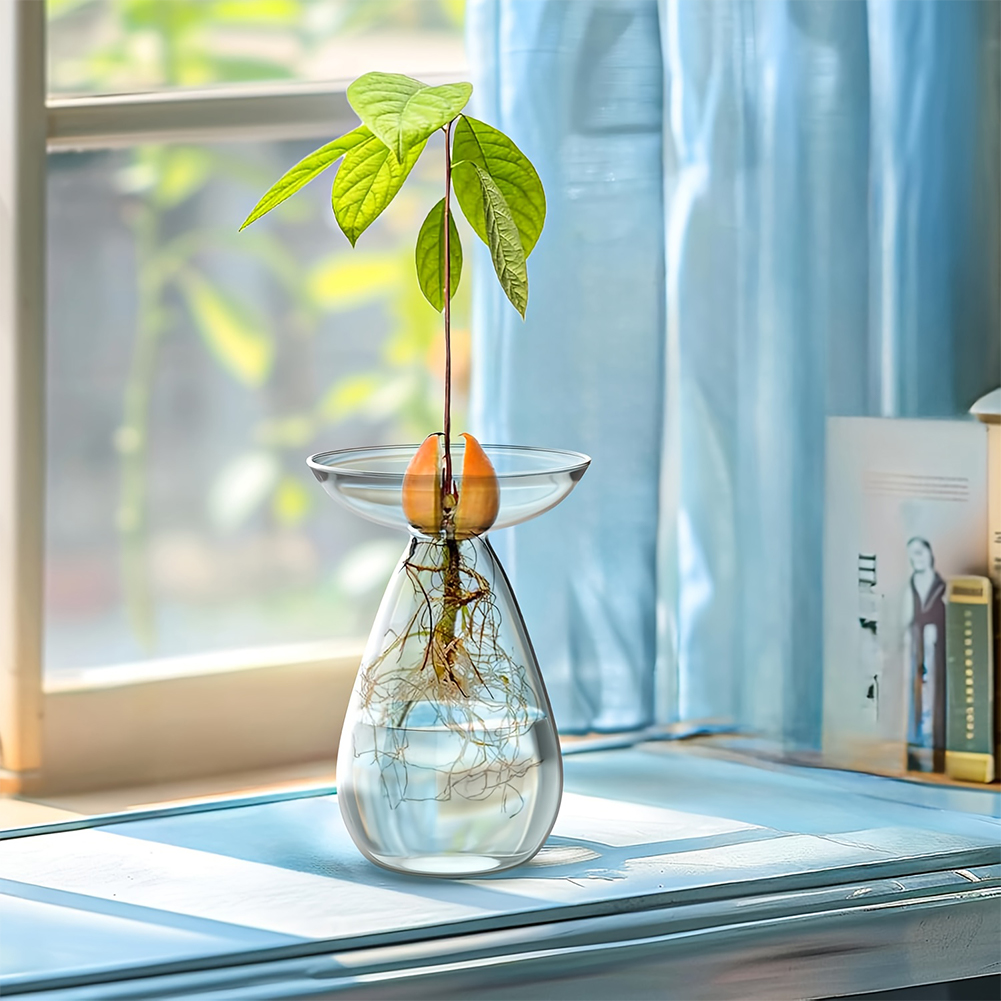 Avocado Seed Starter Vase Tran - Propagation Station Vase 리뷰 및 가격