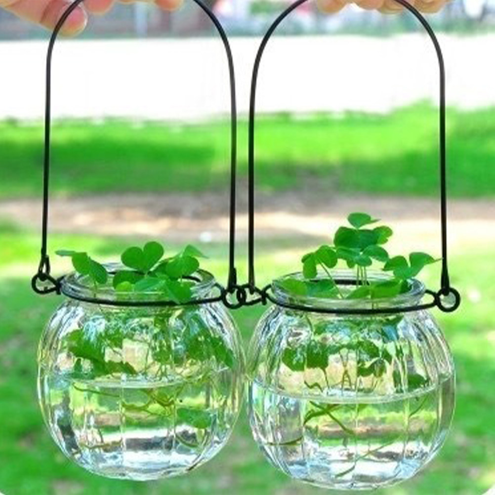 6Pcs Transparent Hanging Glass - Propagation Station Vase 리뷰 및 가격
