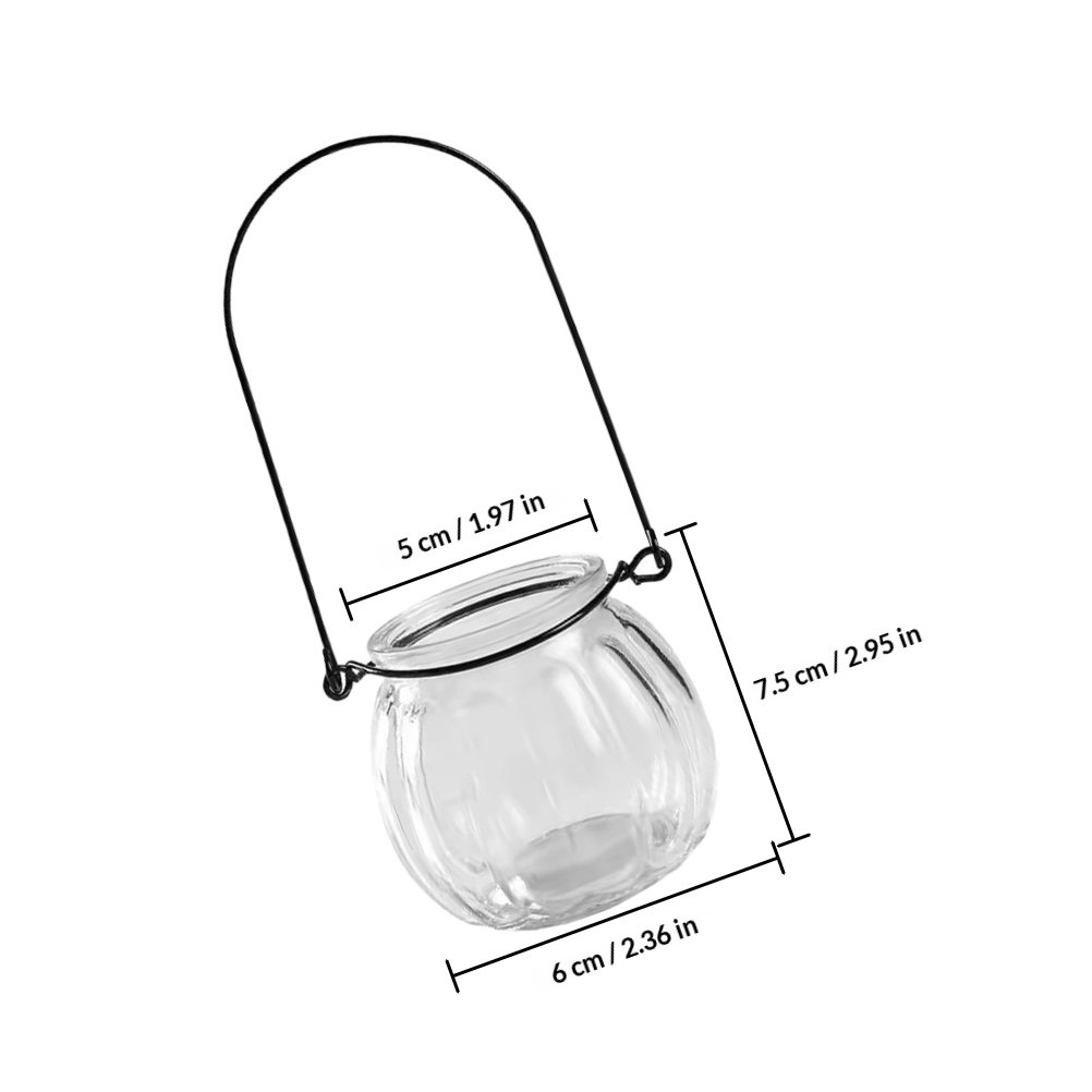 6Pcs Transparent Hanging Glass - Propagation Station Vase 리뷰 및 가격