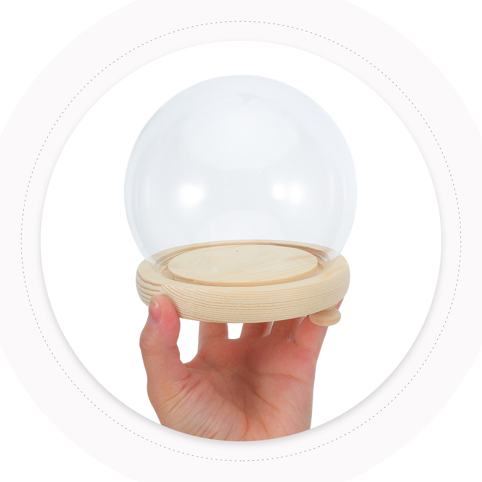 Dried Flower Glass Dome Displa - Plastic Dome Clear 리뷰 및 가격