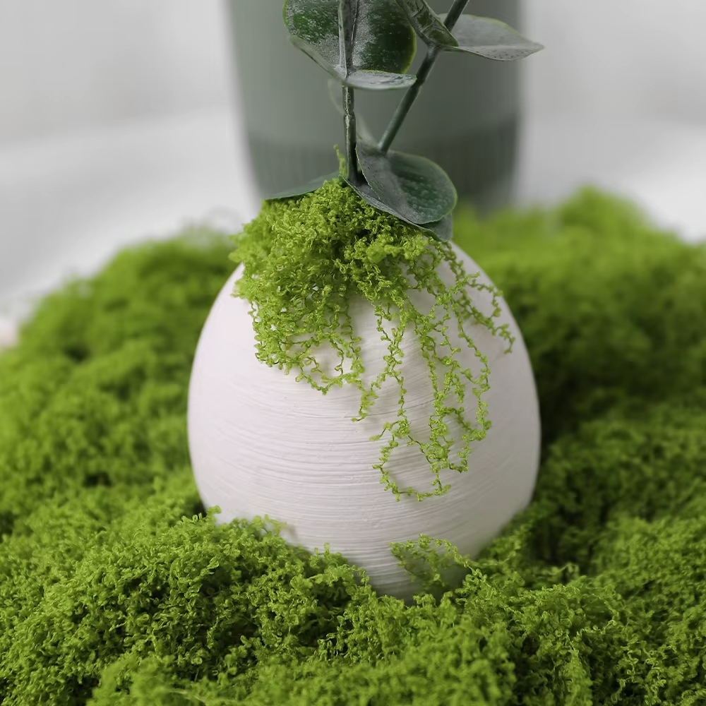 30/100g Artificial Green Plant - Sphagnum Moss Dry 리뷰 및 가격