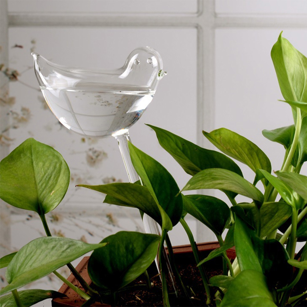 Automatic Plant Watering Bulbs - Self Watering Insert 리뷰 및 가격