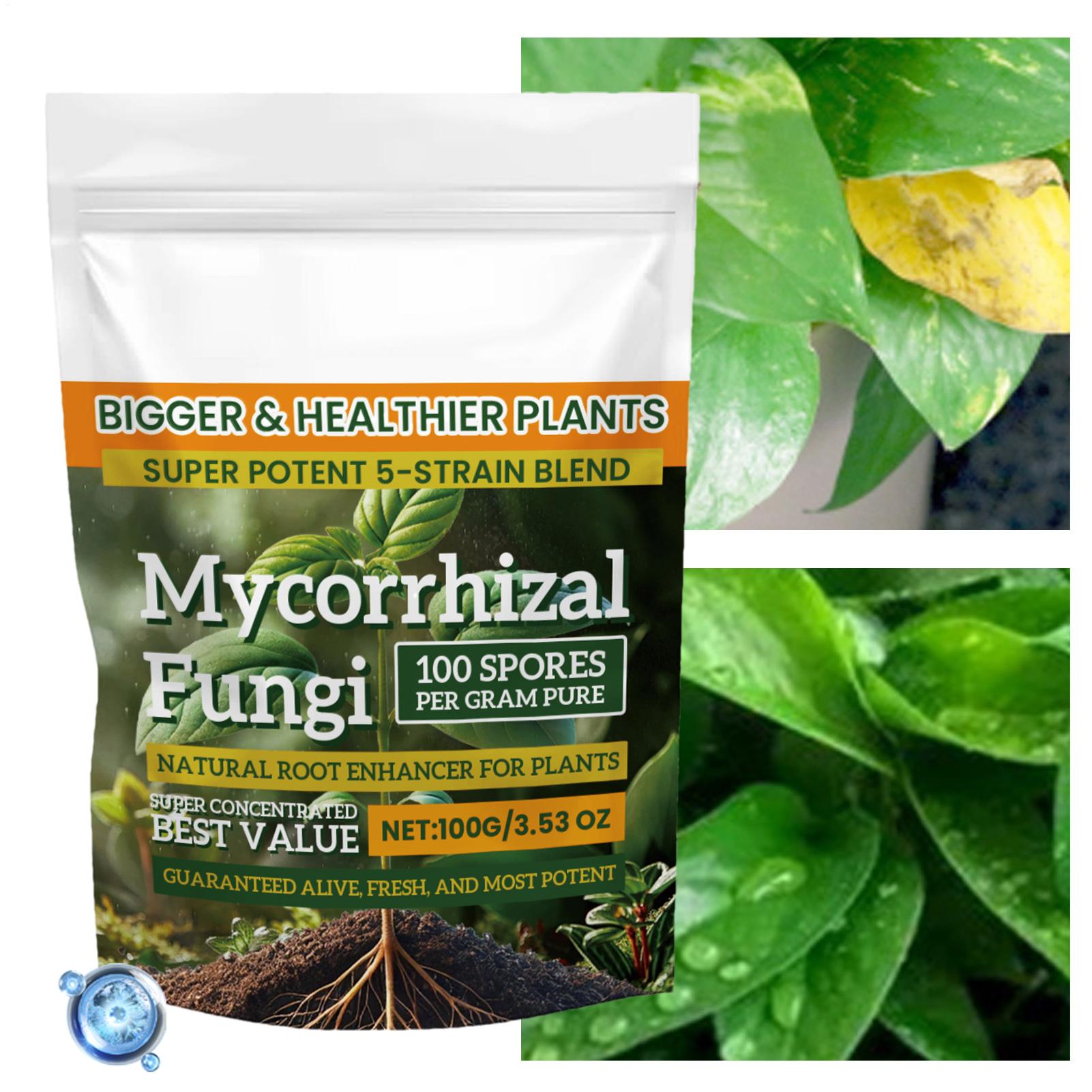 Plant Growth Enhancer Powder 1 - Rooting Hormone Powder 리뷰 및 가격