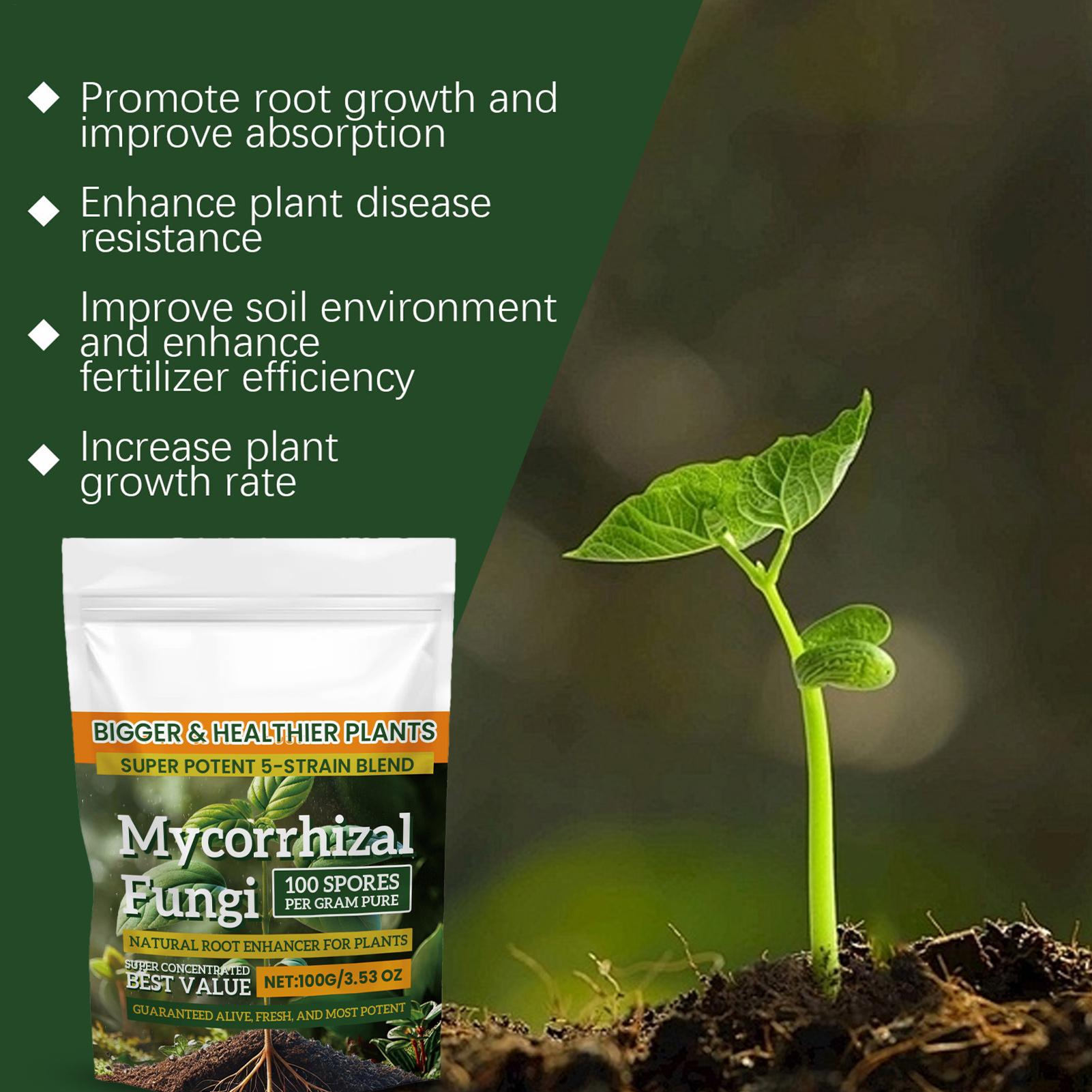 Plant Growth Enhancer Powder 1 - Rooting Hormone Powder 리뷰 및 가격