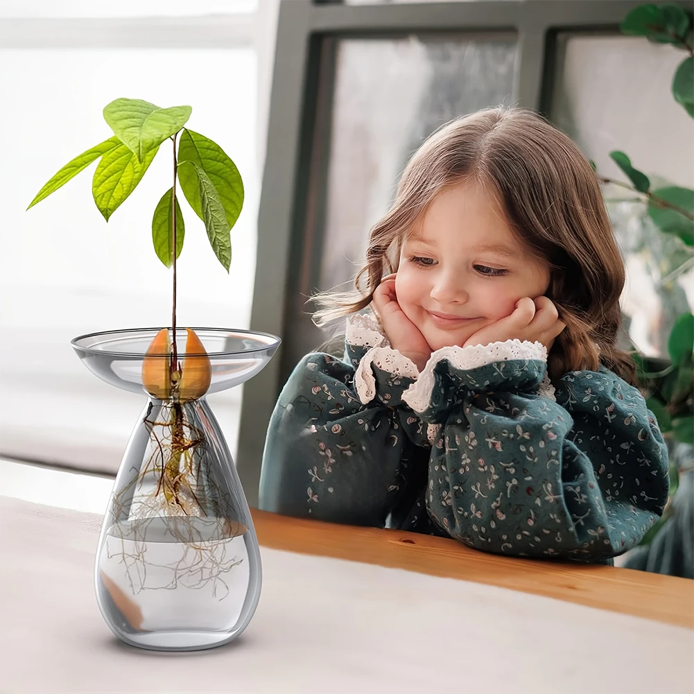 Avocado Seed Starter Vase Tran - Propagation Station Vase 리뷰 및 가격