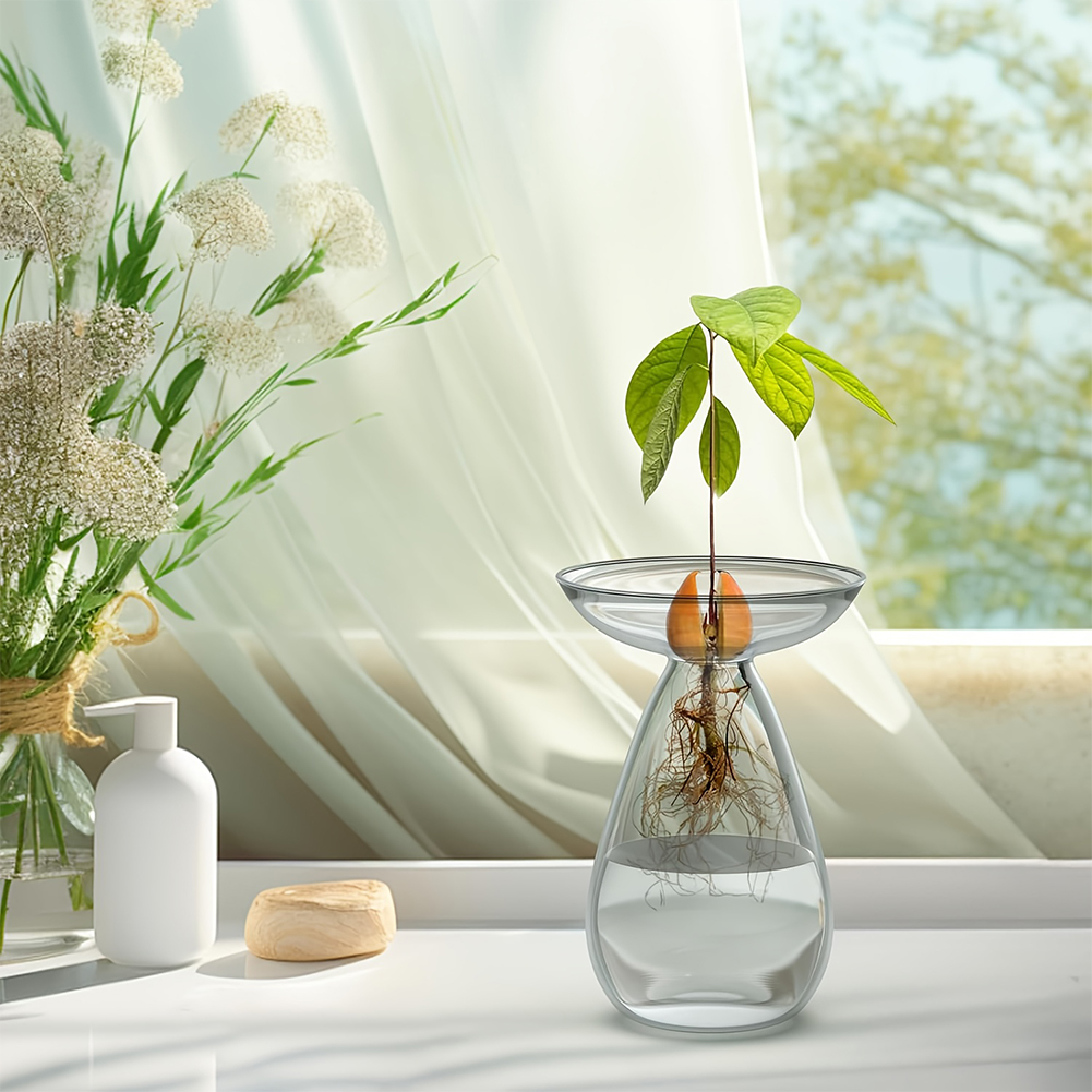 Avocado Seed Starter Vase Tran - Propagation Station Vase 리뷰 및 가격