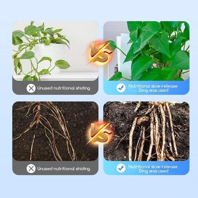2bags Rooting Hormone Powder U - Rooting Hormone Powder 리뷰 및 가격