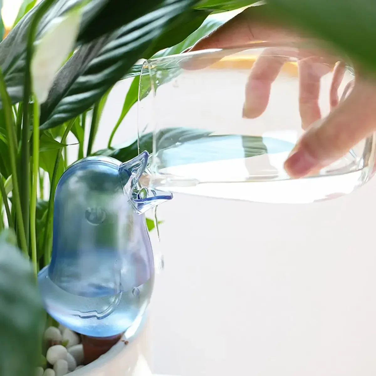 High quality automatic flower  - Self Watering Insert 리뷰 및 가격