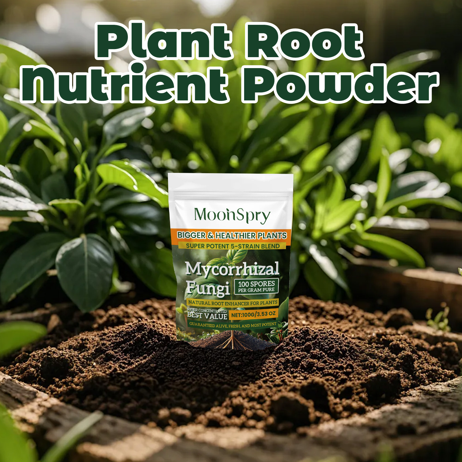 3Pack Root Stimulator Powder f - Rooting Hormone Powder 리뷰 및 가격