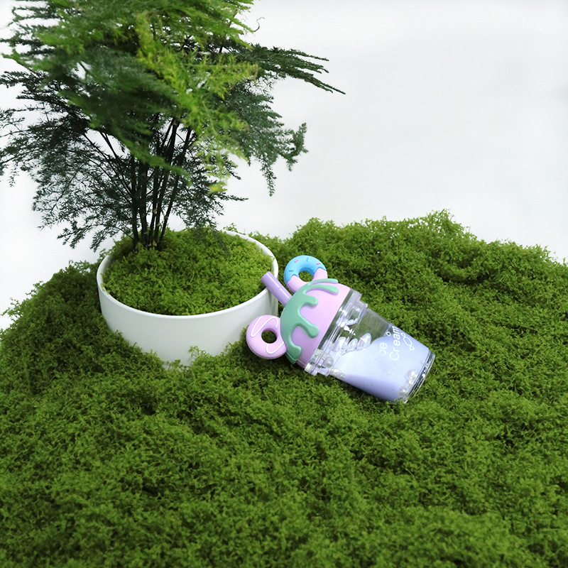 【P】50g Fake Moss DIY Crafts Gr - Sphagnum Moss Dry 리뷰 및 가격