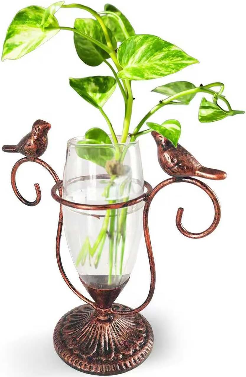 2 Vintage Copper Bird Plant Pr - Propagation Station Vase 리뷰 및 가격