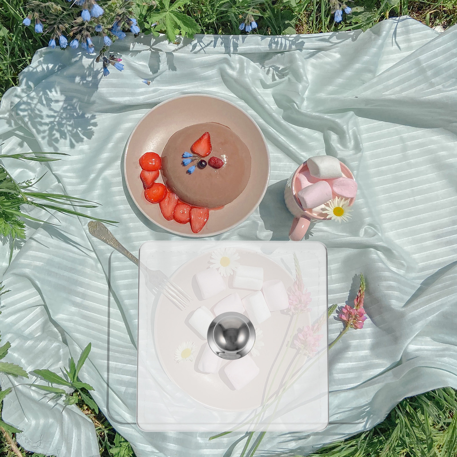 Square Glass Cake Dome Buffet  - Plastic Dome Clear 리뷰 및 가격