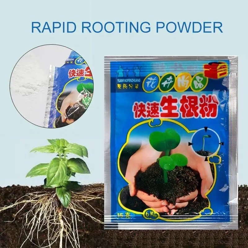 5pcs Fast Rooting Powder Plant - Rooting Hormone Powder 리뷰 및 가격
