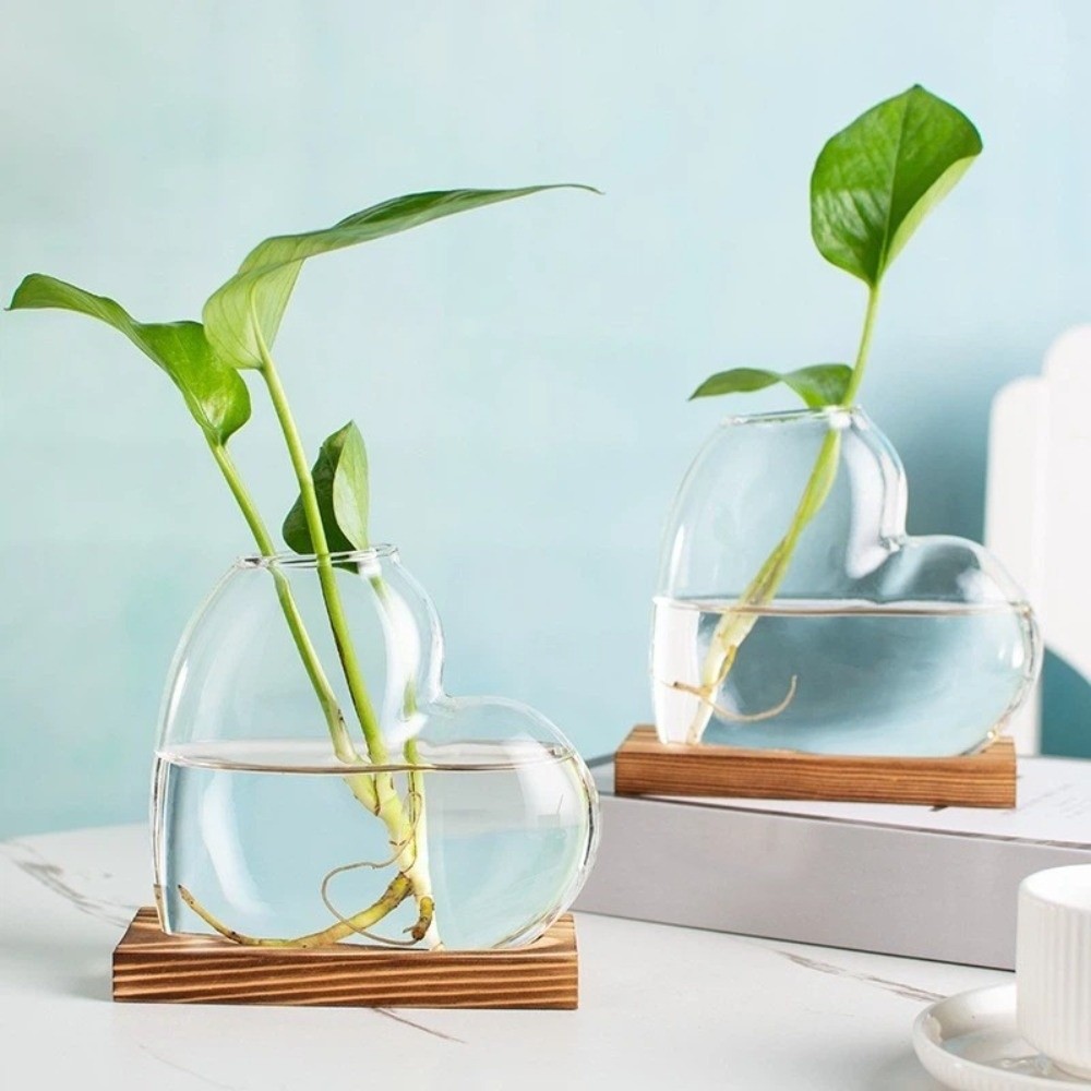 Transparent Hydroponic Glass V - Propagation Station Vase 리뷰 및 가격