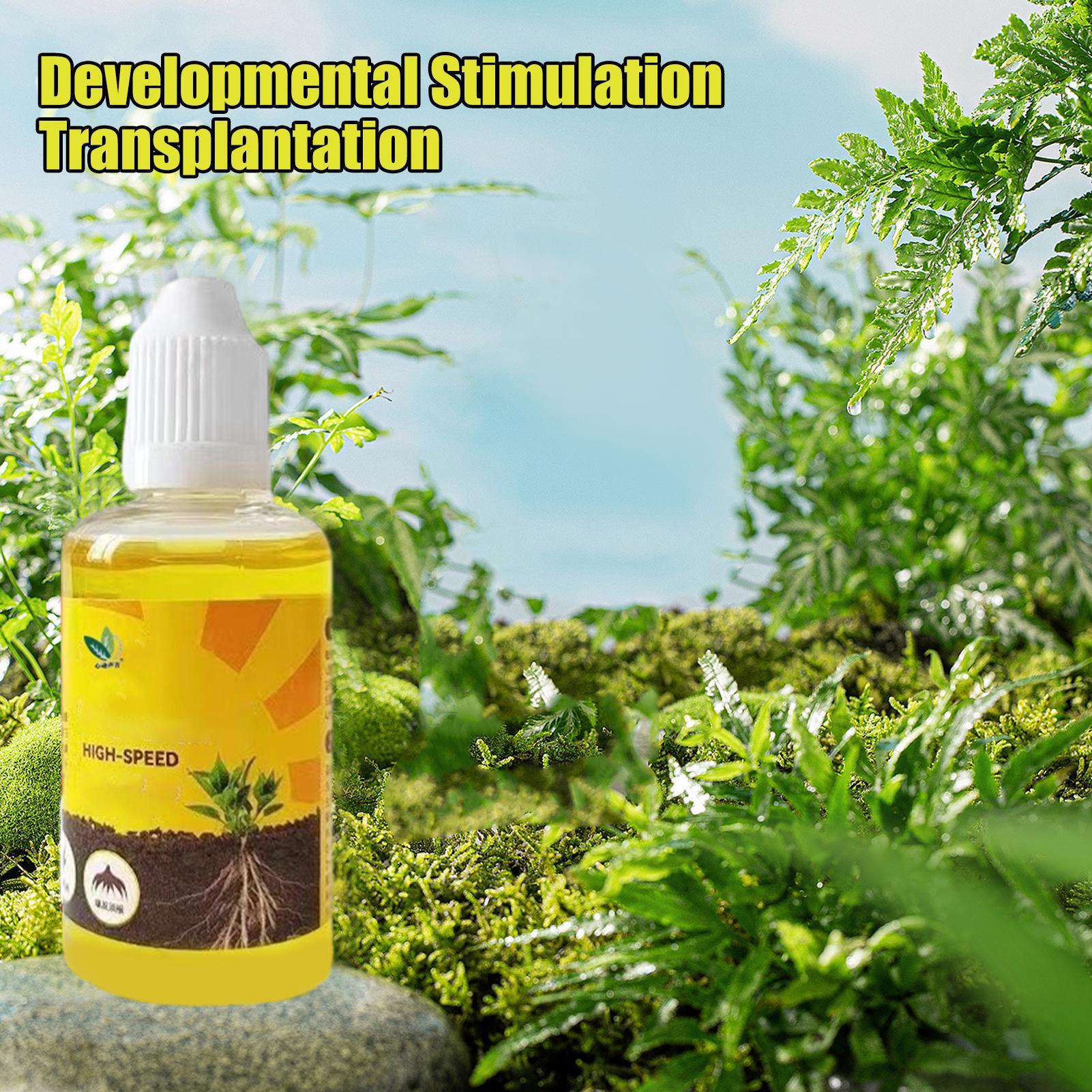 Fast Potting Rooting Plant Nut - Root Stimulator Liquid 리뷰 및 가격