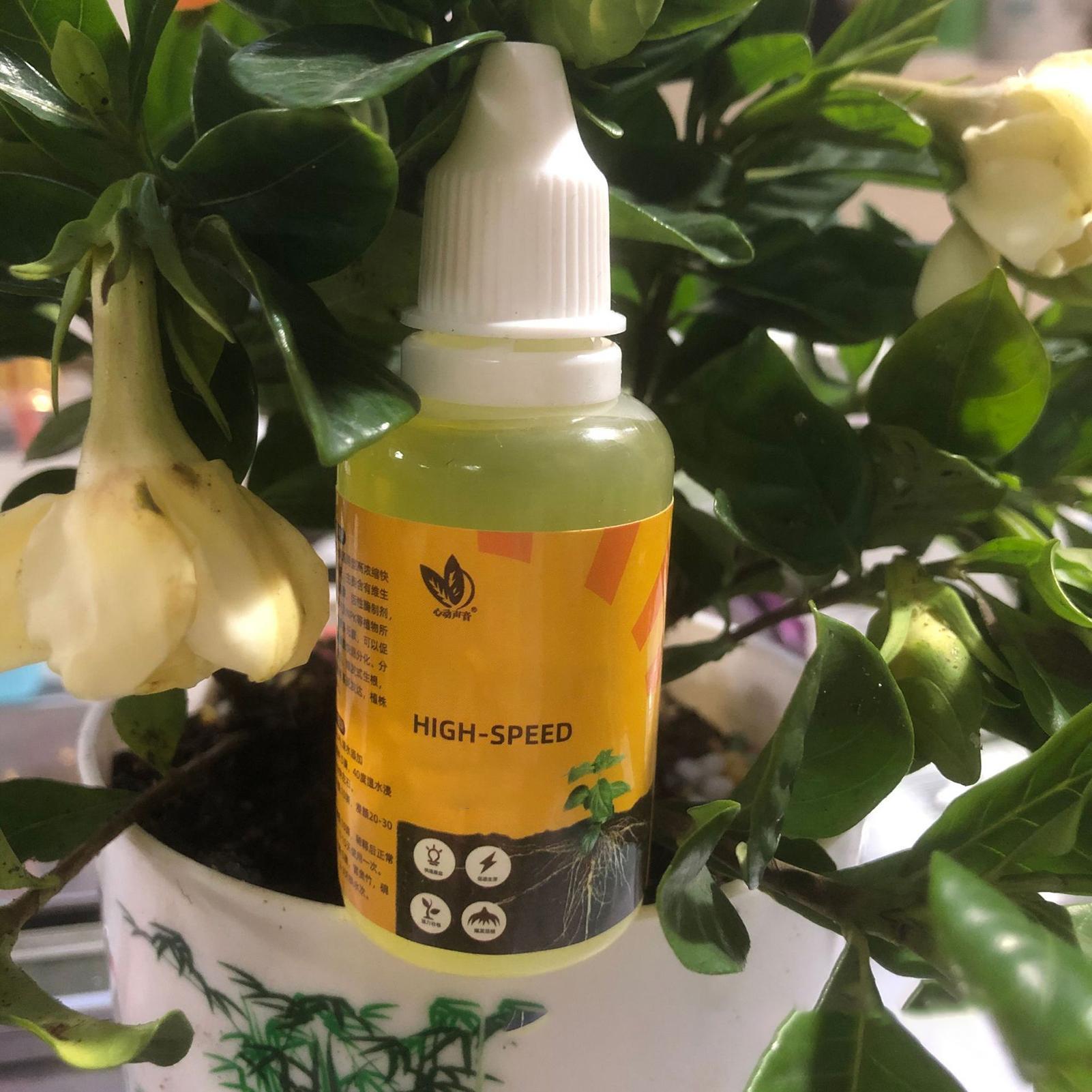 Fast Potting Rooting Plant Nut - Root Stimulator Liquid 리뷰 및 가격