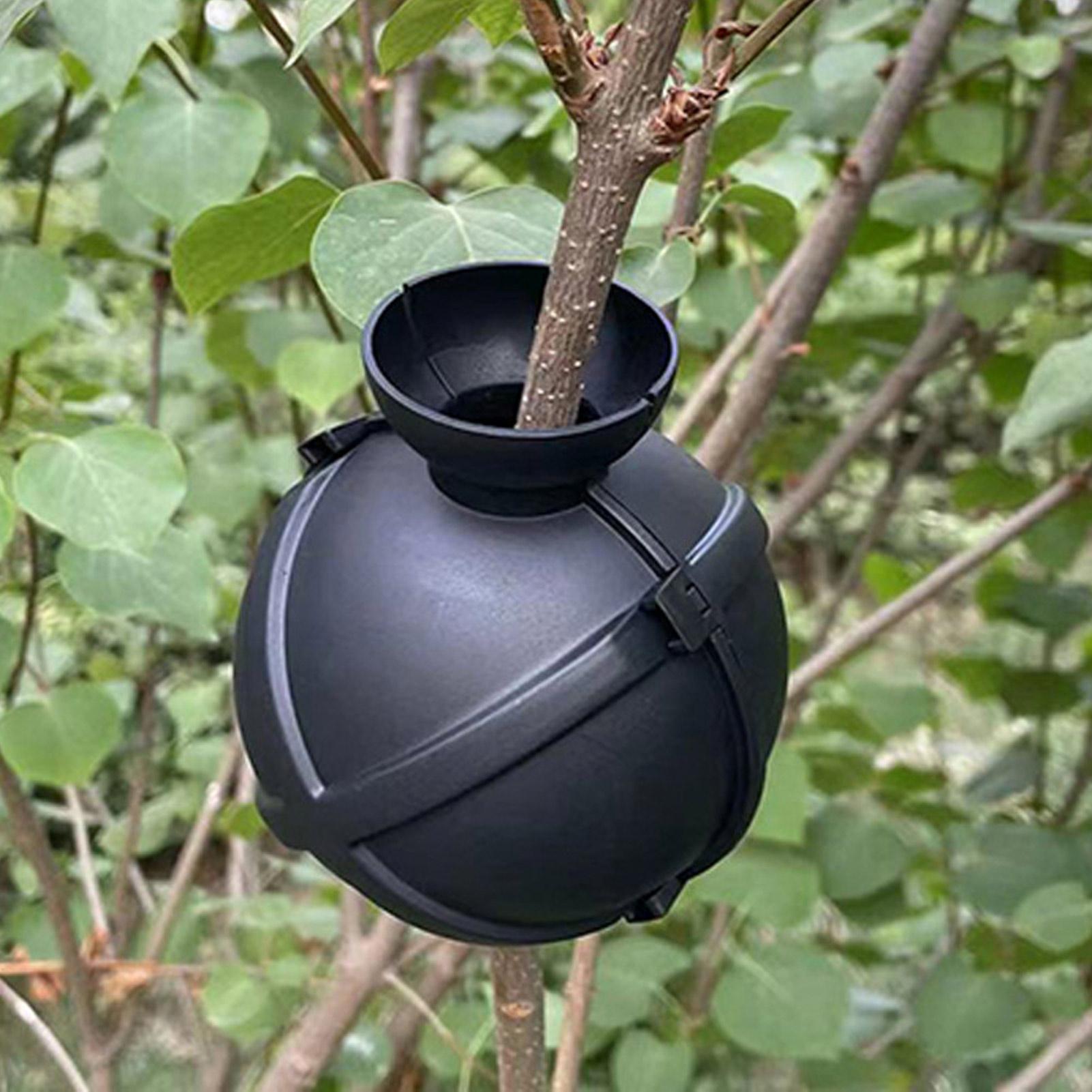 Garden Orchard Plants Grafting - Rooting Gel Clone 리뷰 및 가격
