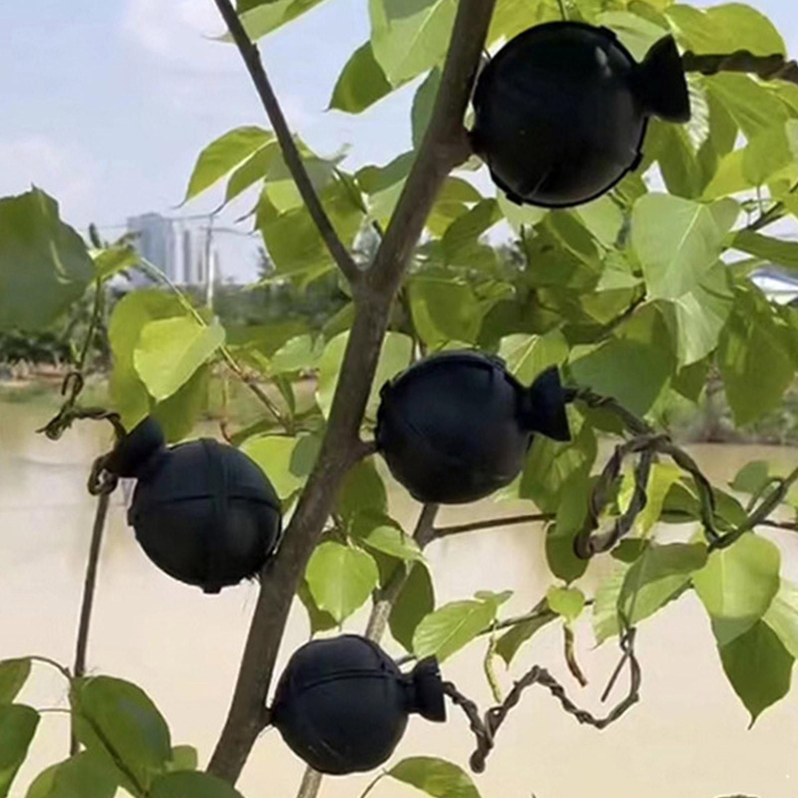 Garden Orchard Plants Grafting - Rooting Gel Clone 리뷰 및 가격
