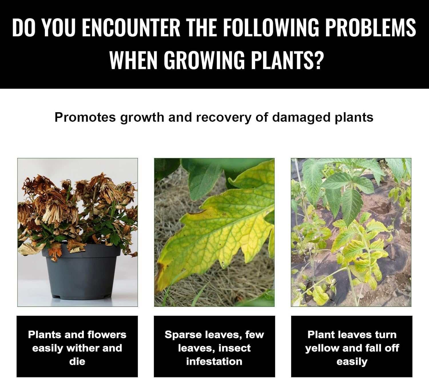 Liquid Plant Growth Enhancers  - Root Stimulator Liquid 리뷰 및 가격