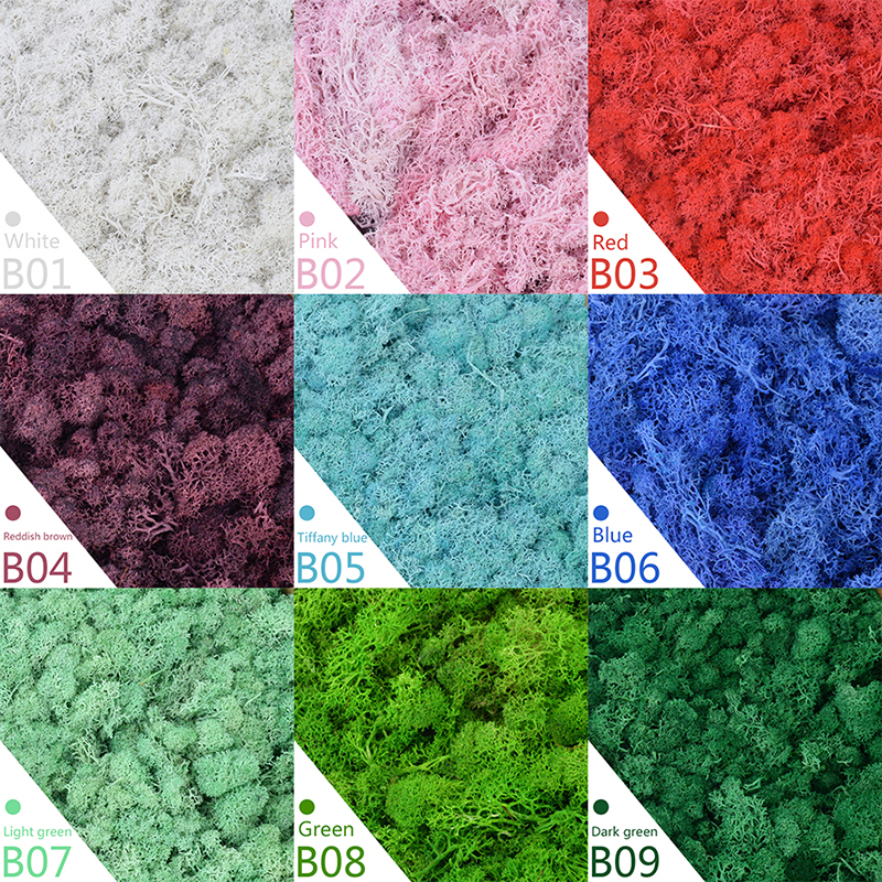 40/20g Artificial Moss Grass G - Sphagnum Moss Dry 리뷰 및 가격