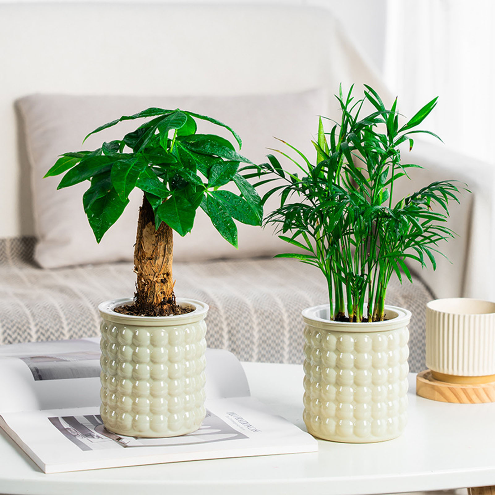 Self Watering Flowerpot Hydrop - Self Watering Insert 리뷰 및 가격